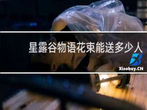 星露谷物语花束能送多少人