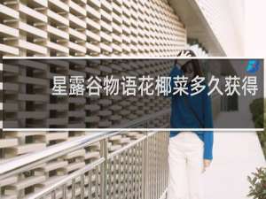 星露谷物语花椰菜多久获得