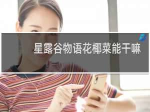 星露谷物语花椰菜能干嘛