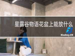 星露谷物语花盆上能放什么