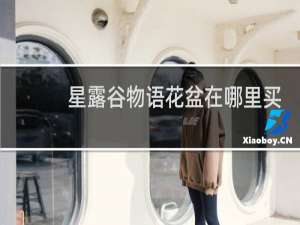 星露谷物语花盆在哪里买