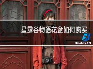 星露谷物语花盆如何购买