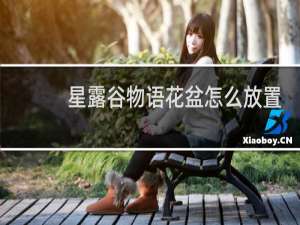 星露谷物语花盆怎么放置