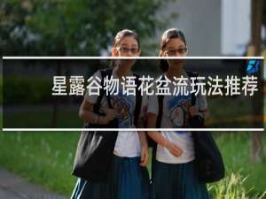 星露谷物语花盆流玩法推荐