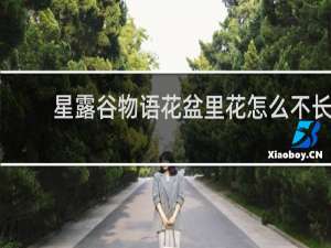 星露谷物语花盆里花怎么不长