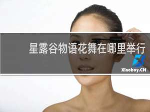 星露谷物语花舞在哪里举行