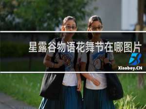 星露谷物语花舞节在哪图片