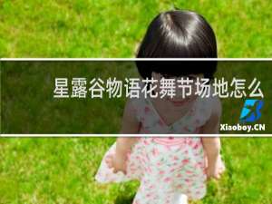 星露谷物语花舞节场地怎么