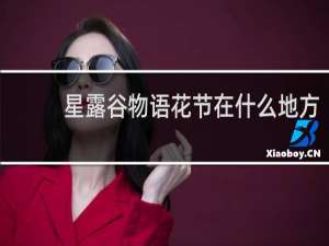 星露谷物语花节在什么地方