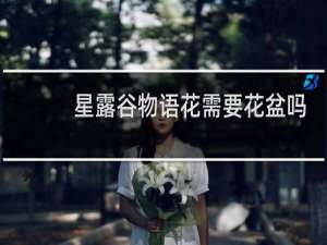 星露谷物语花需要花盆吗