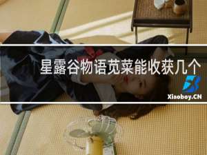 星露谷物语苋菜能收获几个