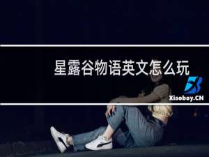 星露谷物语英文怎么玩