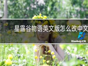 星露谷物语英文版怎么改中文