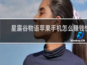 星露谷物语苹果手机怎么赚钱快