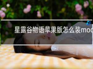 星露谷物语苹果版怎么装mod