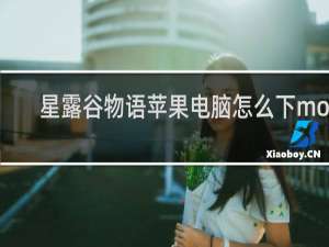 星露谷物语苹果电脑怎么下mod