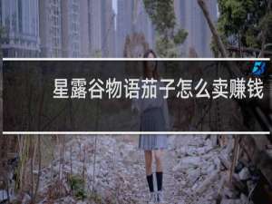 星露谷物语茄子怎么卖赚钱