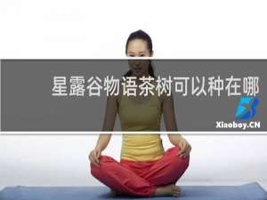 星露谷物语茶树可以种在哪