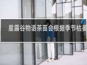 星露谷物语茶苗会根据季节枯萎吗