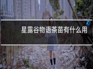 星露谷物语茶苗有什么用