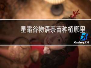 星露谷物语茶苗种植哪里