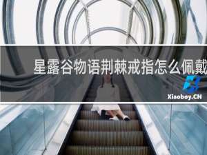 星露谷物语荆棘戒指怎么佩戴