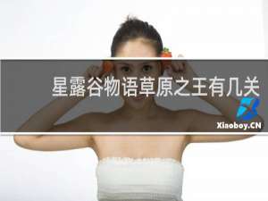 星露谷物语草原之王有几关