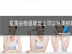 星露谷物语草地上可以种果树吗