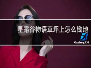 星露谷物语草坪上怎么锄地