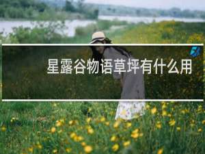 星露谷物语草坪有什么用