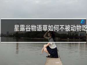 星露谷物语草如何不被动物吃