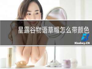 星露谷物语草帽怎么带颜色