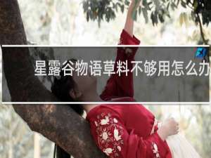 星露谷物语草料不够用怎么办