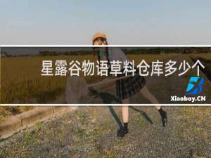 星露谷物语草料仓库多少个
