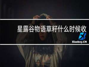 星露谷物语草籽什么时候收