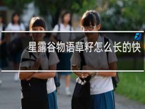 星露谷物语草籽怎么长的快