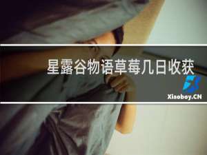 星露谷物语草莓几日收获