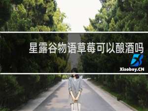 星露谷物语草莓可以酿酒吗