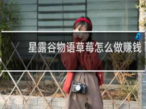 星露谷物语草莓怎么做赚钱