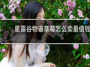 星露谷物语草莓怎么卖最值钱