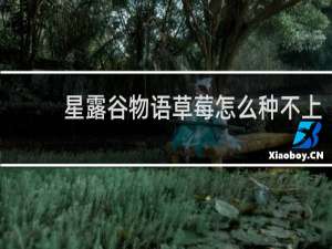 星露谷物语草莓怎么种不上