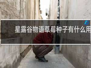 星露谷物语草莓种子有什么用