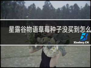 星露谷物语草莓种子没买到怎么办