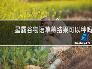 星露谷物语草莓结果可以种吗