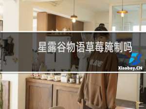 星露谷物语草莓腌制吗