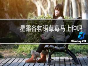 星露谷物语草莓马上种吗