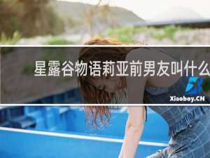 星露谷物语莉亚前男友叫什么