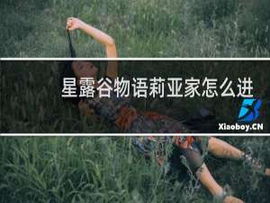 星露谷物语莉亚家怎么进
