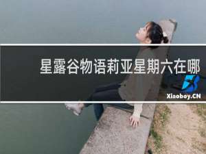 星露谷物语莉亚星期六在哪