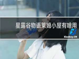 星露谷物语莱姆小屋有啥用